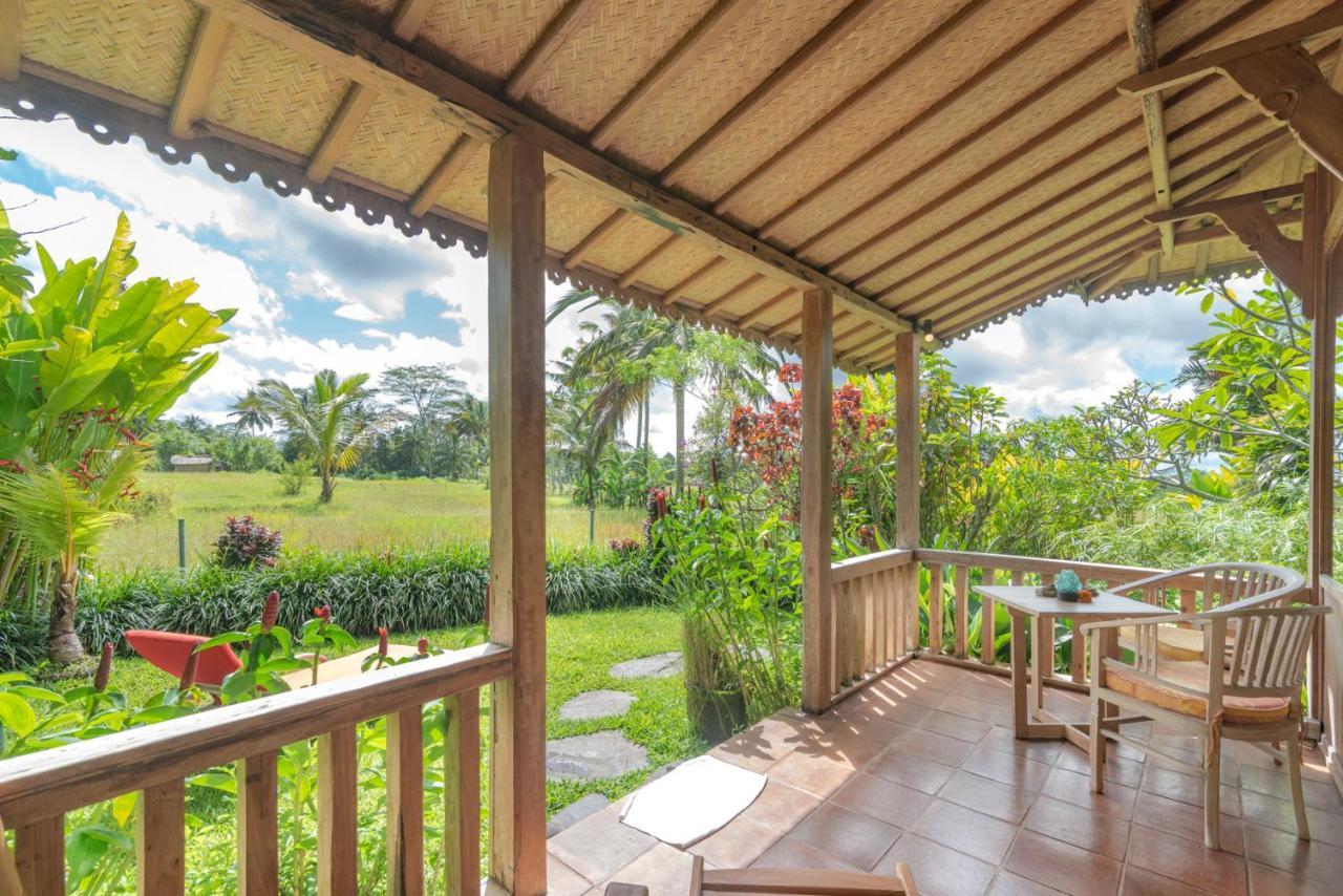 Hotel Bali Sawah Indah Ubud Zewnętrze zdjęcie