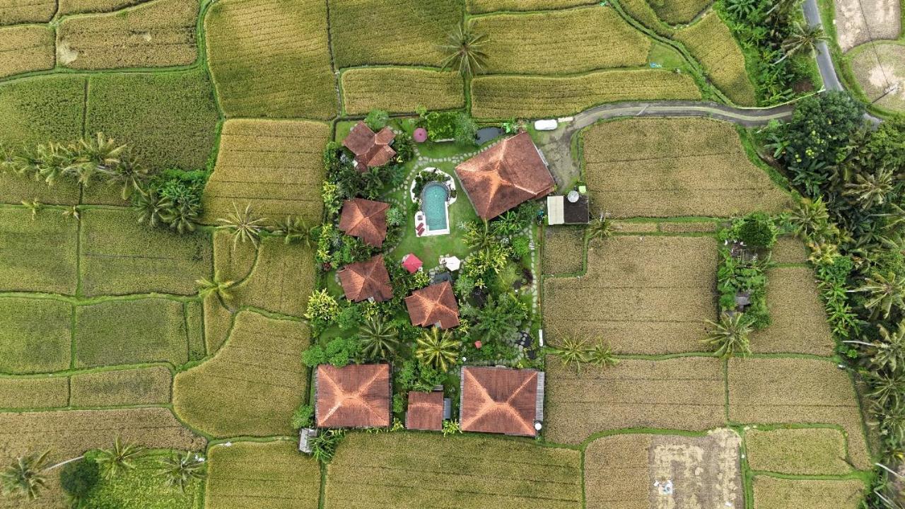 Hotel Bali Sawah Indah Ubud Zewnętrze zdjęcie