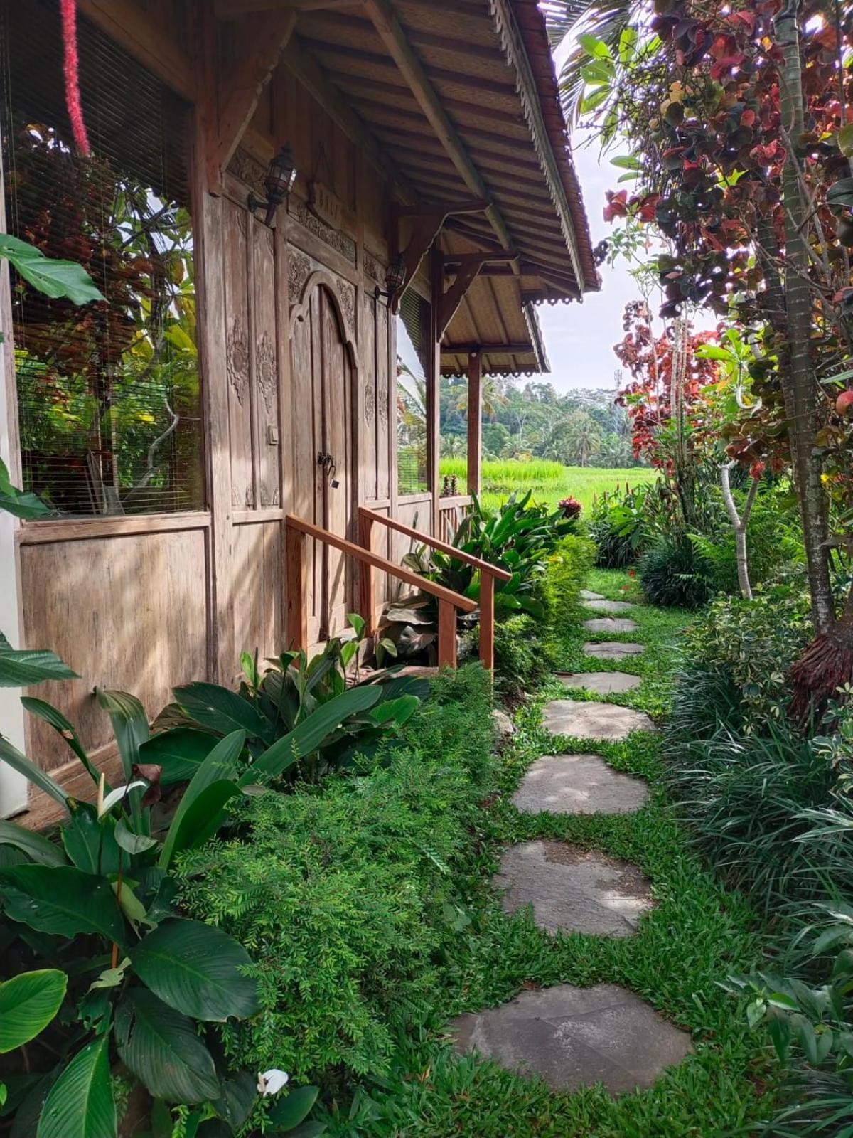 Hotel Bali Sawah Indah Ubud Zewnętrze zdjęcie