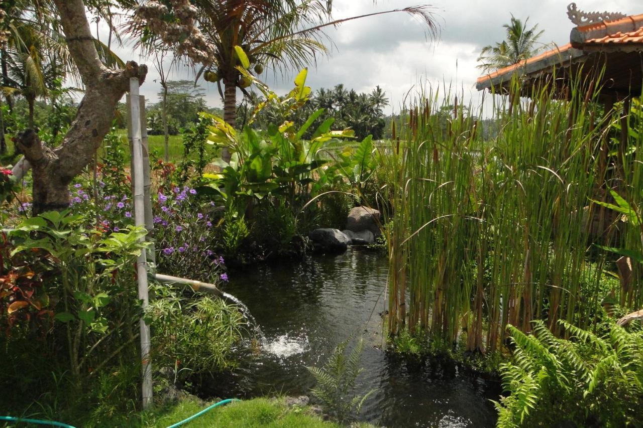 Hotel Bali Sawah Indah Ubud Zewnętrze zdjęcie