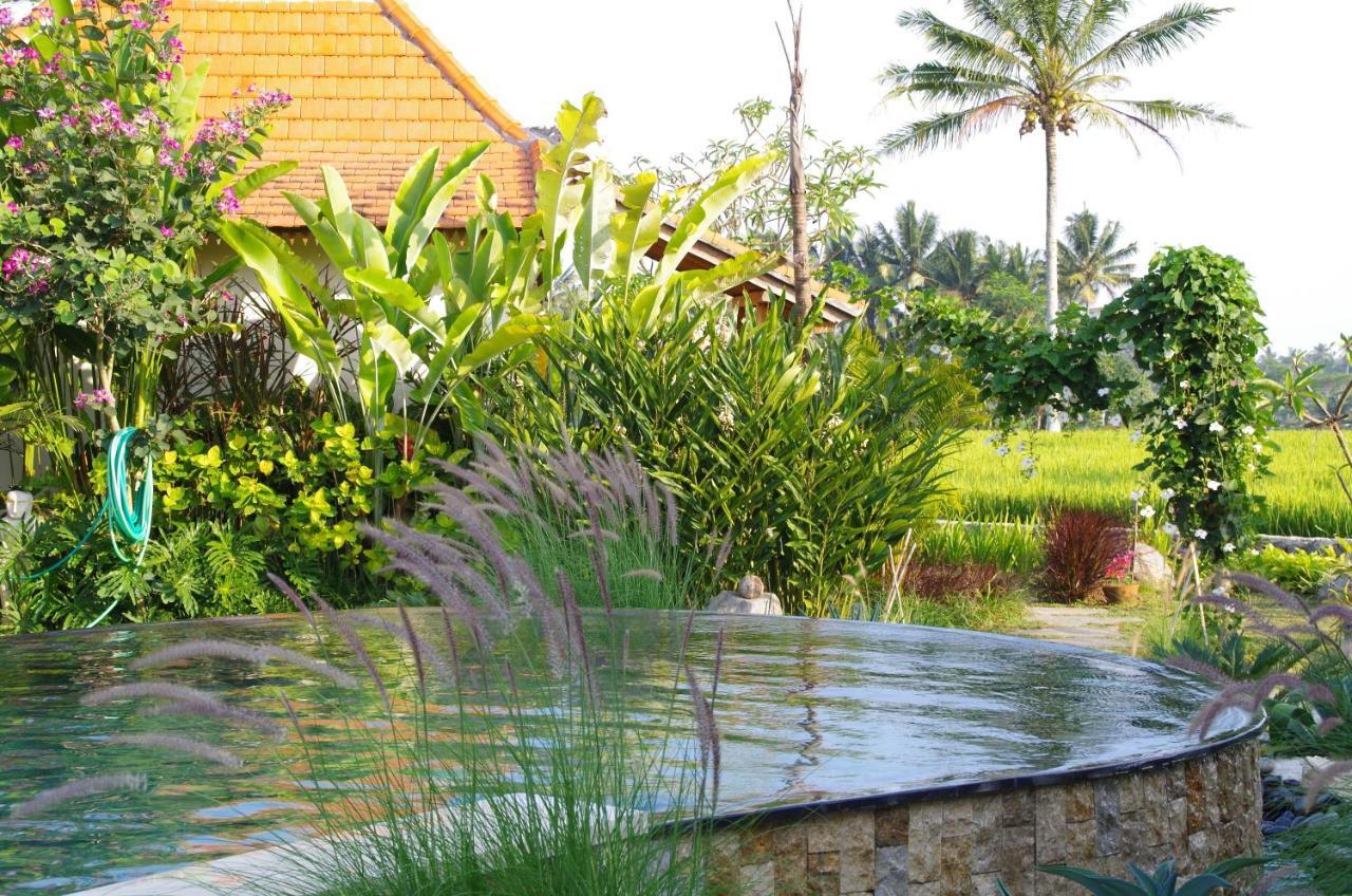 Hotel Bali Sawah Indah Ubud Zewnętrze zdjęcie